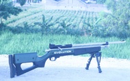 Senapan Angin PCP BIGGAME 4000PSI Evolution