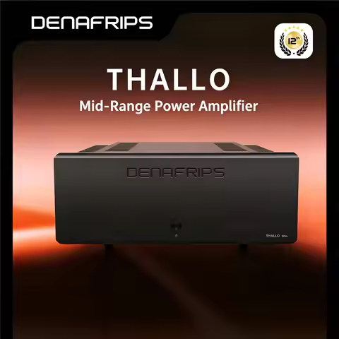 Denafrips THALLO 12th Fully Balanced High‑Power Amplifier 100W/150W Stereo Hi‑Fi Power Amp for Home 
