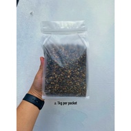 Augustfame - 1kg Rainbow Stones 彩虹石颗粒土 Rocks Succulent Cactus 多肉 仙人掌