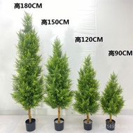 Pine Cypress Hotel Home Plant Shopping Mall Plastic Decoration Fake Tree Bonsai Potted Plant Cypress