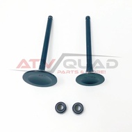 Intake Exhaust Valve Seal Kit for Coleman Trail Tamer 360 AT400 500 AT500 ATV 14711-002-0000 14721-0