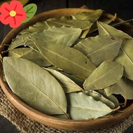 Laurel Leaves - BAY LEAF