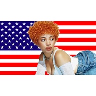 ♠Rapper Ice Spice Pink USA Flag Outdoor Indoor Ice Spice Poster American Flags Banner for Dorm|PF,