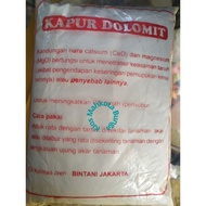 Kapur Dolomit Pertanian / Pupuk Kapur Dolomit Super 1 kg (Mengatur