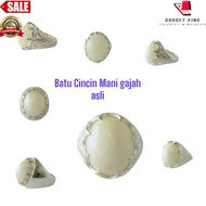 Batu Cincin Mani gajah asli