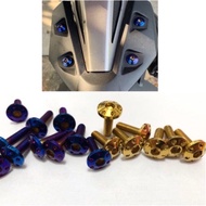 (SEBIJI) KINGDRAG SKRU FENDER M6 SCREW EKOR FENDER BRACKET Y15 Y15ZR Y15Z GOLD TITANIUM SKRU KING DR