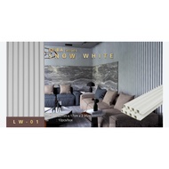 Wpc Wall PANEL/3D Wood PANEL WPC/WPC PANEL