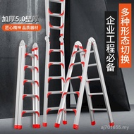 Loft Thickened Foldable Telescopic Ladder Climbing Ladder Ruiyang Ladder Ladder Straight Ladder Herr