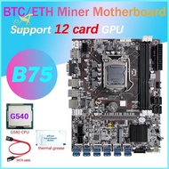 B75 12 Card GPU BTC Mining Motherboard+G540 CPU+Thermal Grease+SATA Cable 12XUSB3.0(PCIE) Slot LGA1155 DDR3 RAM MSATA