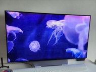 LG OLED 65''吋電視 TV