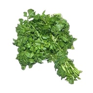 selada air segar / 250 gr