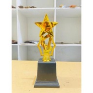 Unique Star Trophy Award Trophy