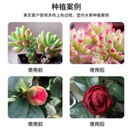 Growth Tonic led Leaf Plant Spectrum Full Multi-Light Succulent Vegetable Group Multi-Plant t8 Succu