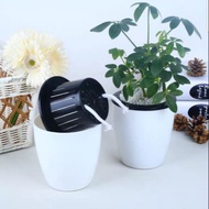 Self Watering Pot / White Pot /  A03