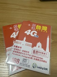 台灣 8日 sim卡 2張