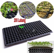 POT TRAY SEMAI BIBIT 200 LUBANG TANAM / TRAY SEMAI BIBIT TANAMAN