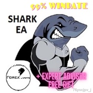 Computer &amp; Accessories✤☎EA SHARK PRO 2021🔥Full Version | ROBOT🔥99% WINRATE🔥 + MORE THAN 5 FREE EXPERT ADVISOR 🔥