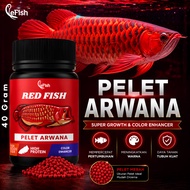 LeFish Red Fish Pellets Arowana Astaxanthin High Protein Color Enhancer Arowana Food Super Red Growt