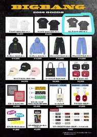 Bigbang 日本周邊 crop T