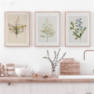 Vintage Fern Antique Botanical Branch Olive Wildflower Poster Canvas Painting Print French Country f