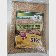 padi unggul Galur HERCULES genjah (GHG) umur pendek 5 kg