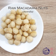 [N.G] Australia Raw Macadamia Nuts LARGE 300g/500g/1kg . Healthy Snack