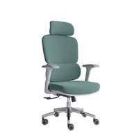 เก้าอี้เพื่อสุขภาพ เฟอร์ราเดค Harmony