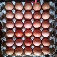 State Chicken Eggs 1 tery/board contains 30 HT eggs