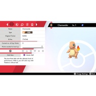 Pokemon Sword & Shield - 6IV CHARMANDER