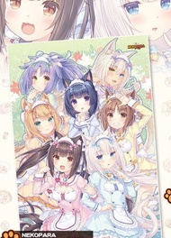 【旅人事務所】絕版 FF36限定 ネコぱら vol.4 NEKO WORKs 貓娘樂園 NekoPara B2 掛軸