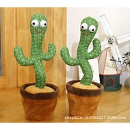 Dancing and talking cactus KY004