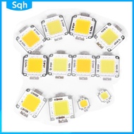 bri 1pc cob led light dc led bulb chip on board 10W 20W 30W 50W 70W 100W 2 colors ywr