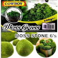 Lumut 200g/batu lumut 6pcs/artificial moss for orchids.