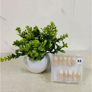 Hand Nails From Medium Size XS