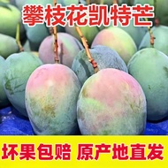 Sichuan Panzhihua Kate Mango Fresh Fruit In-Season Kate Mango Free Shipping Green-Skin Mango Panzhih