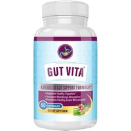 Gut Vita - Gut Vita Gut Health - Gut Vita Advanced Gut Support Formula (60 Capsules - 1 Month Supply