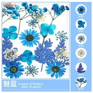 Creative DIY Crafting Materials for Home Decoration