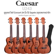 Caesar U243 Concert Ukulele Size 24 Inch Sapele Wood Cute Pattern Matte + Bag