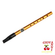 GIOVANNI Irish Whistle Flute, 6 Hole Professional Ireland Flute, Musical Accessories Alloy Gift Musi