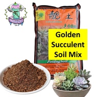 6L Premium Golden Succulent Soil Mix for Succulent Cactus Cacti | EZgrow.sg