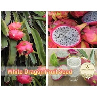 50pcs seeds White Pitaya Dragon Fruit Biji Buah Naga Putih白火龙果种子