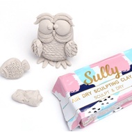 500g Baking free & Air dry pottery clay Air dry Sculpting Clay 免烤风干陶泥塑形DIY