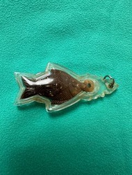 【拉胡名師】龍婆絕 2556 手工單眼椰殼 拉胡招財魚 (轉運/招財/辟邪)