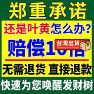 【花肥】發財樹營養液 【爆新芽】發財樹黃葉枯葉一噴綠壯苗生根免稀釋肥