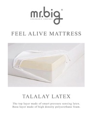mr.big FeelAlive Mattress (Single, Queen and King available). Top Layer With Vita Talalay Latex And High Density PU Foam For The Base.