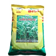Benih Kangkung Unggul Amanda 1 kg