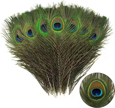 10/20/50PCS Natural Big Eyes Peacock Feathers 25-30CM for Wedding Home Table Center Vase Decoration 