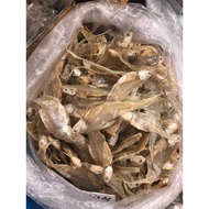Ikan Kering Bulu Ayam /Ikan Masin Bulu Ayam
