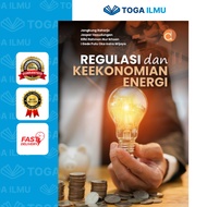Energy Regulation and Economy Book