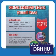 DADUDA Small roe Cyst / bbs halus baby brine shrimp,fish food aquarium ikan betta,guppy 99% hatching